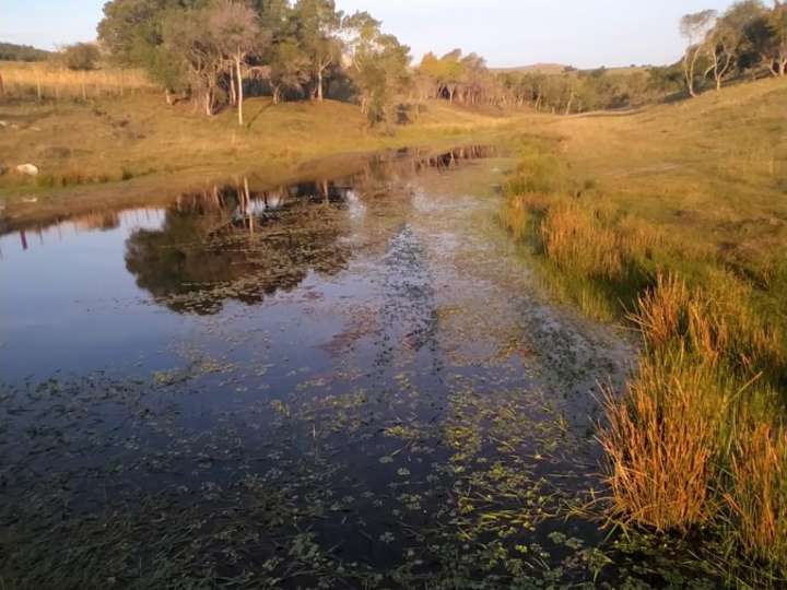 Granja en venta en Lavalleja