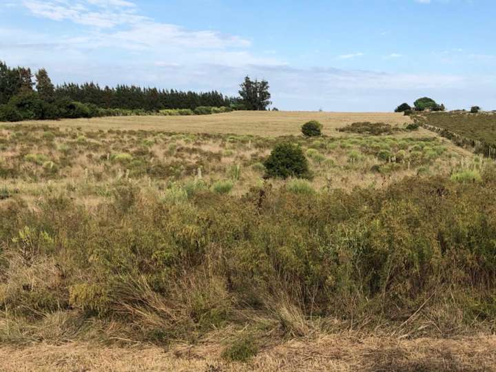 Granja en venta en Aiguá