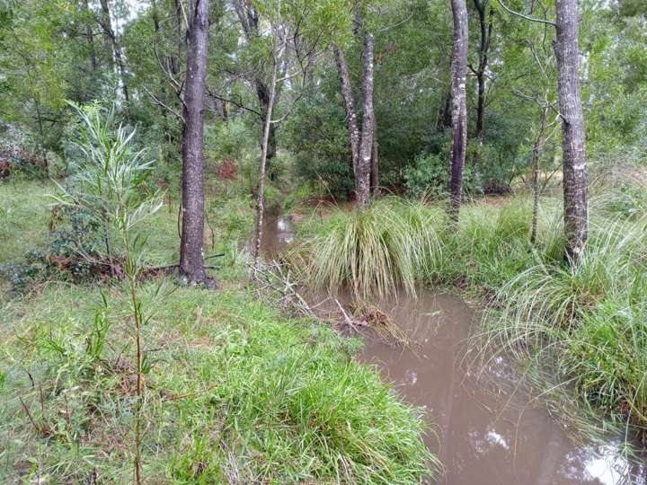 Granja en venta en Pan de Azúcar