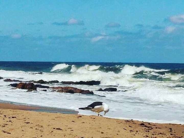 Apartamento en venta en Maldonado