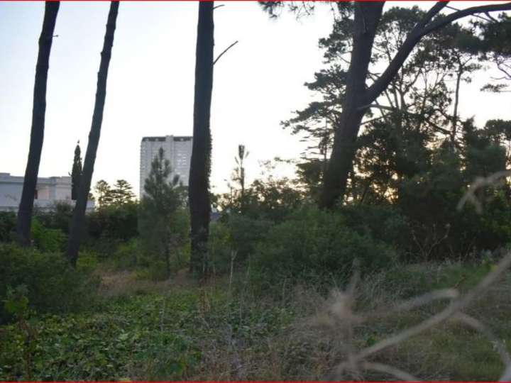 Terreno en venta en Punta Del Este