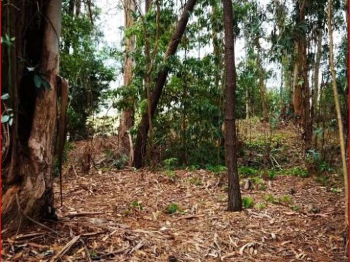 Terreno en venta en Sarubbi, Maldonado