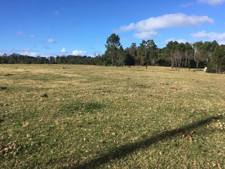 Terreno en venta en Juan Ramón Giménez, San Rafael - El Placer