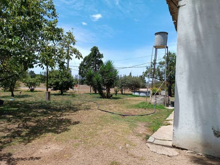 Granja en venta en Camino de la Redención, Montevideo