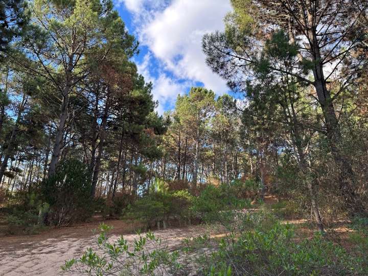 Terreno en venta en La Rastrera, Maldonado