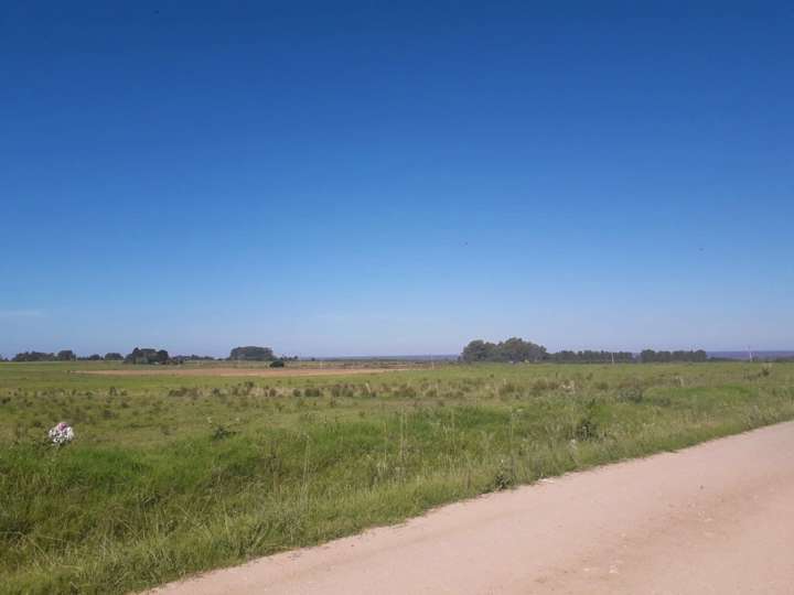 Granja en venta en Centro, Montevideo