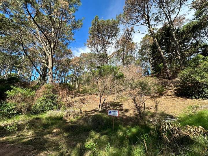 Terreno en venta en Laguna del Sauce, Maldonado