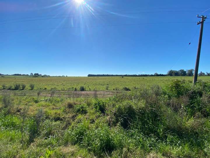 Granja en venta en Centro, Montevideo