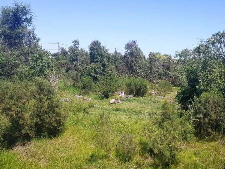 Terreno en venta en Continuación lateral J. Bernardi, Colonia