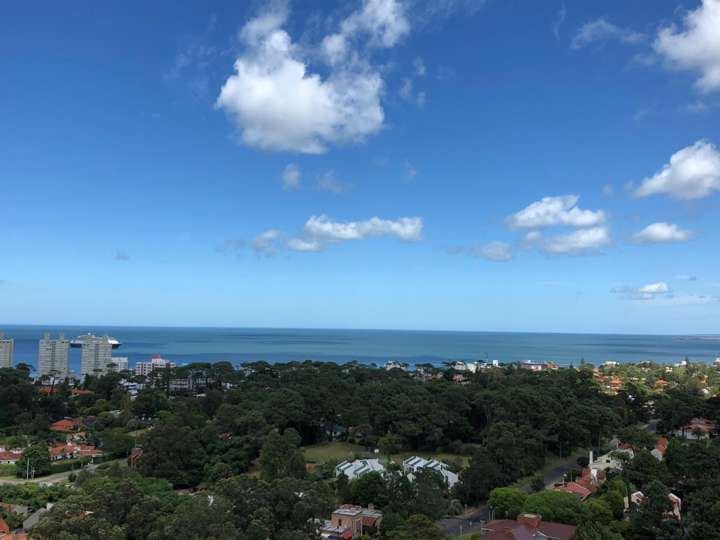 Apartamento en venta en Avenida Franklin Delano Roosevelt, Maldonado