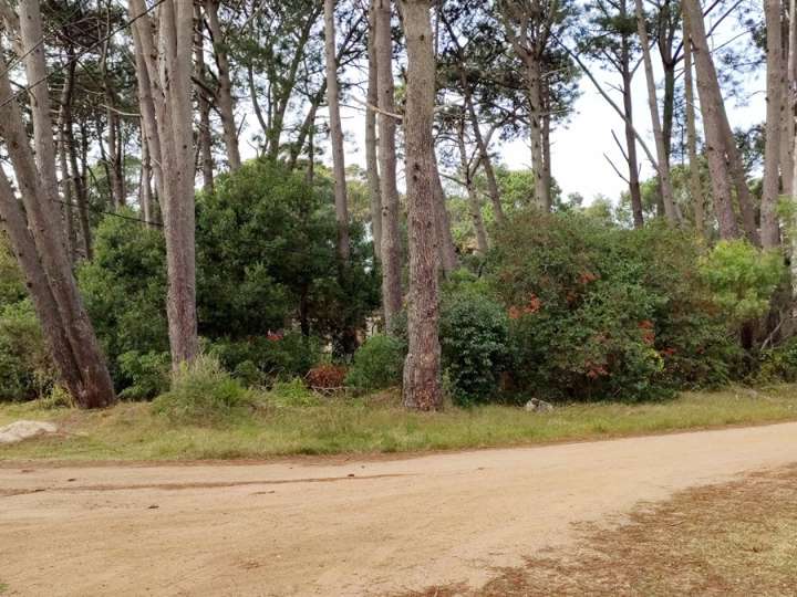 Terreno en venta en Maldonado