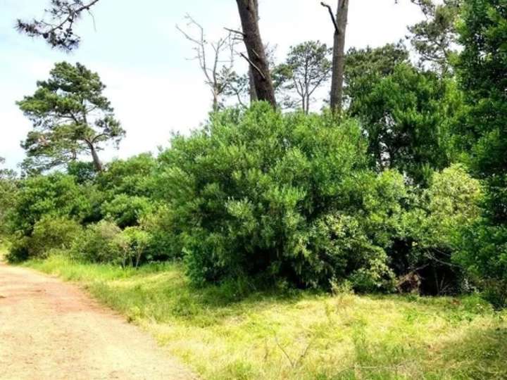 Terreno en venta en Maldonado