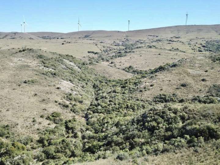 Granja en venta en Maldonado