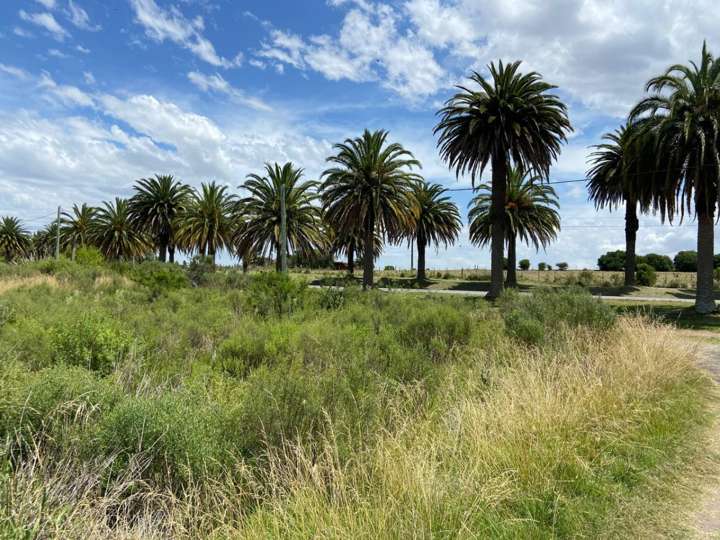 Terreno en venta en Colonia