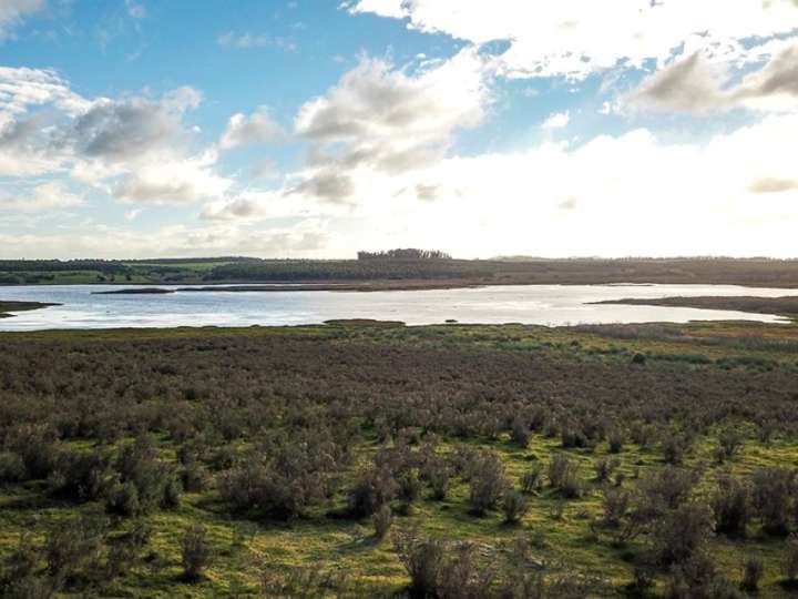 Granja en venta en Maldonado