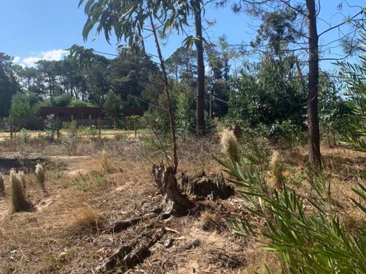 Terreno en venta en Los Talas, Punta Del Este