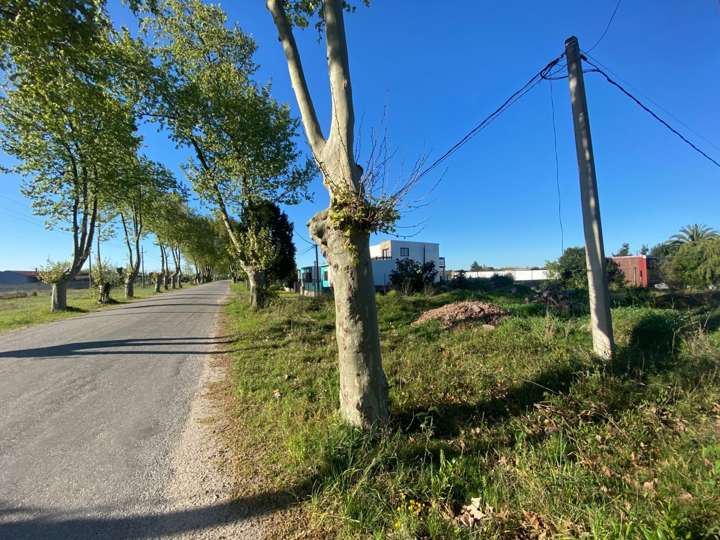 Terreno en venta en Colonia