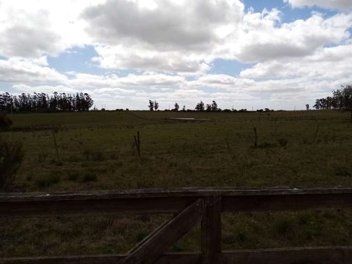 Granja en venta en Maldonado