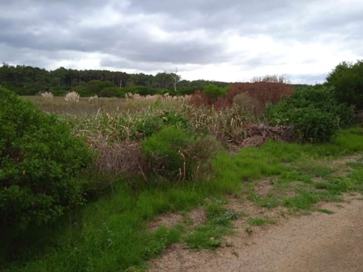 Terreno en venta en Maldonado