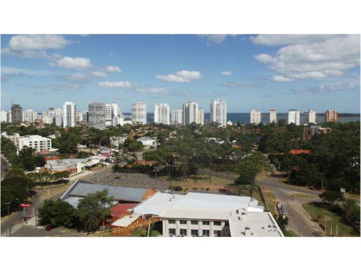 Apartamento en venta en Avenida Franklin Delano Roosevelt, Punta Del Este