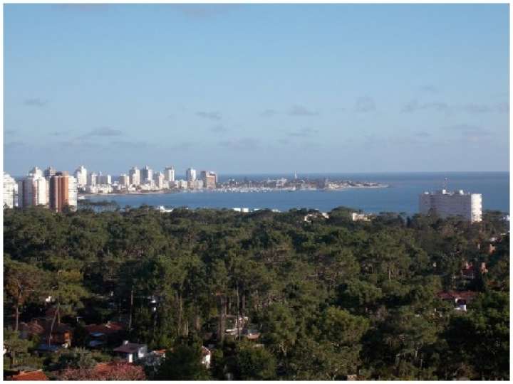 Apartamento en venta en Avenida Franklin Delano Roosevelt, Punta Del Este