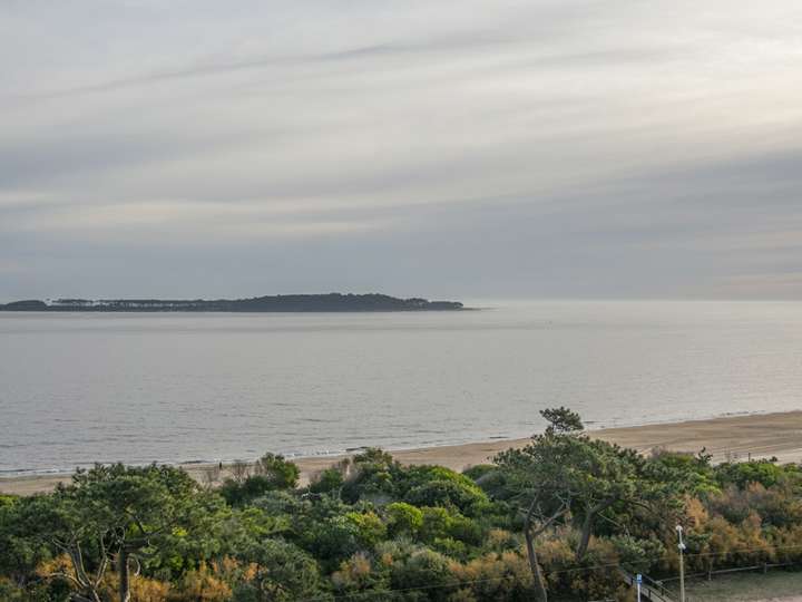 Apartamento en venta en Punta Del Este