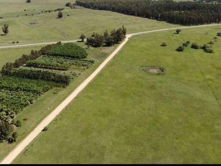 Granja en venta en Ruta 104 Doctor Alejandro Atchugarry, Maldonado