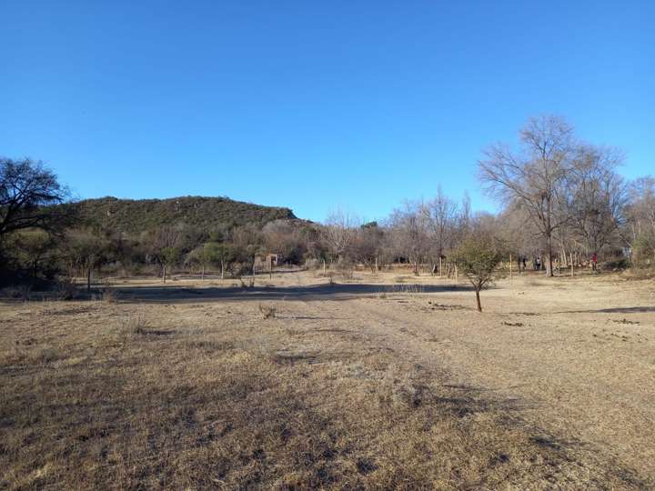 Terreno en venta en Coronel Pringles, San Luis