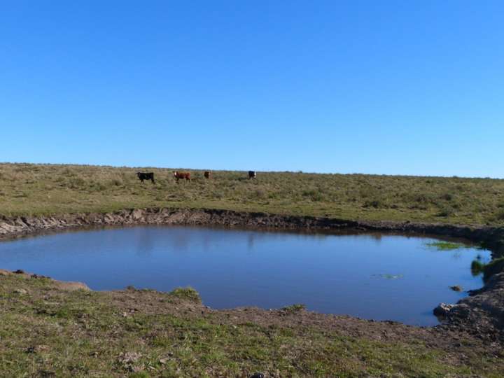 Granja en venta en Maldonado