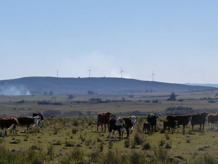 Granja en venta en Maldonado