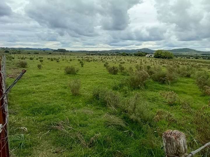 Granja en venta en Camino Vecinal, Maldonado