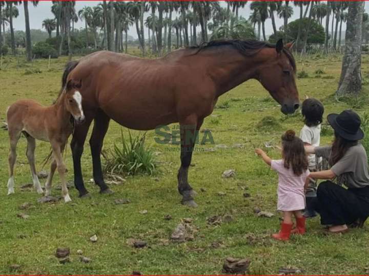 Granja en venta en Maldonado