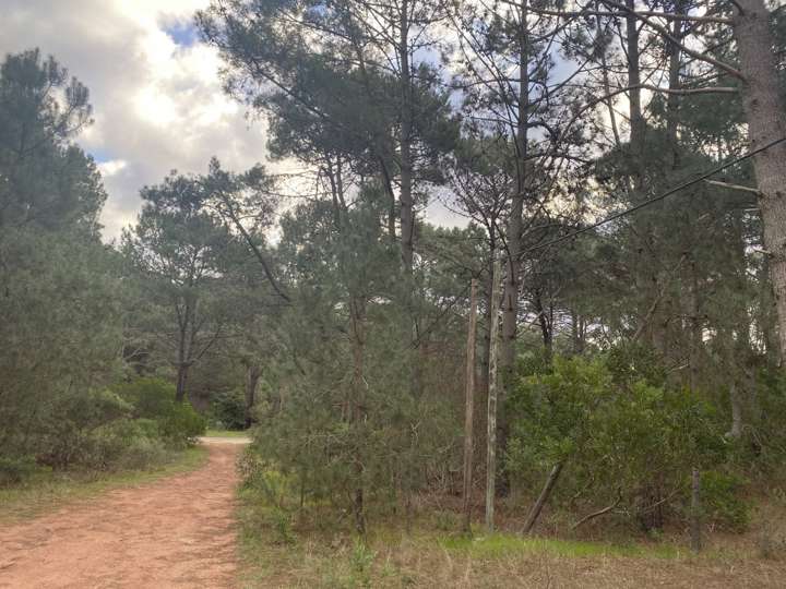 Terreno en venta en Lago Winnipeg, Maldonado