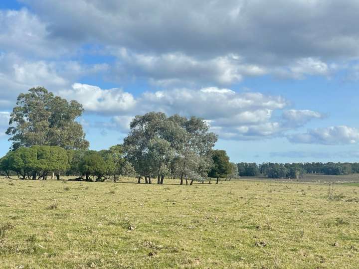 Granja en venta en Las Delicias, Maldonado