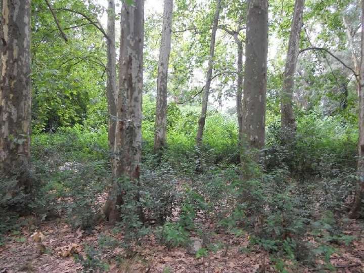 Terreno en venta en Bravo, Grand Bourg