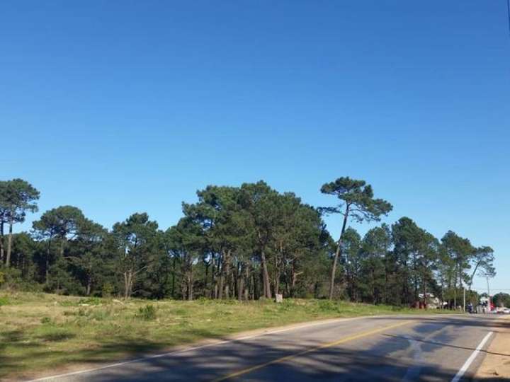 Terreno en venta en Sarubbi, Maldonado