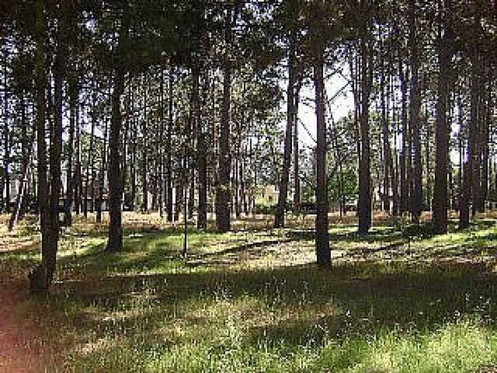 Terreno en venta en Pinares, Maldonado