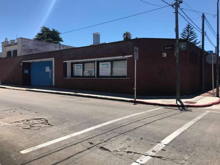 Comercial / Tienda en alquiler en José Dodera, Maldonado