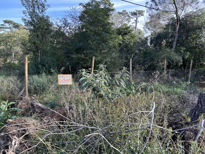 Terreno en venta en Avenida Santa Margherita, Maldonado