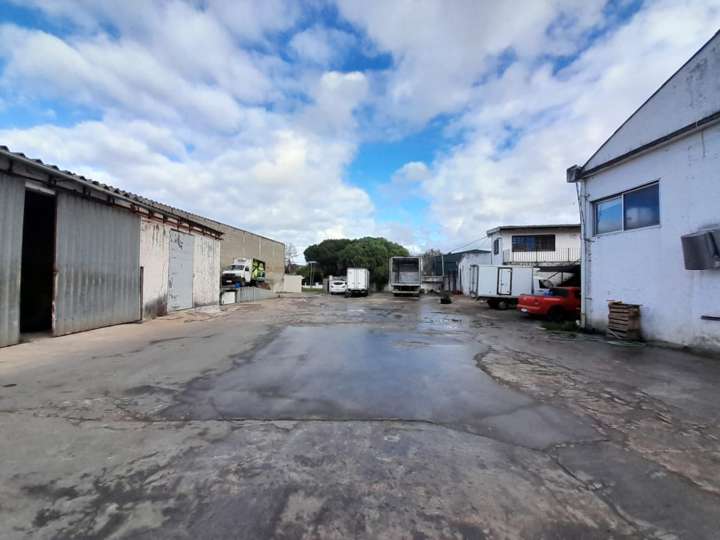 Comercial / Tienda en venta en Maldonado