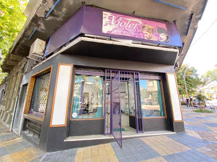 Comercial / Tienda en venta en Doctor Juan José de Amézaga, Montevideo