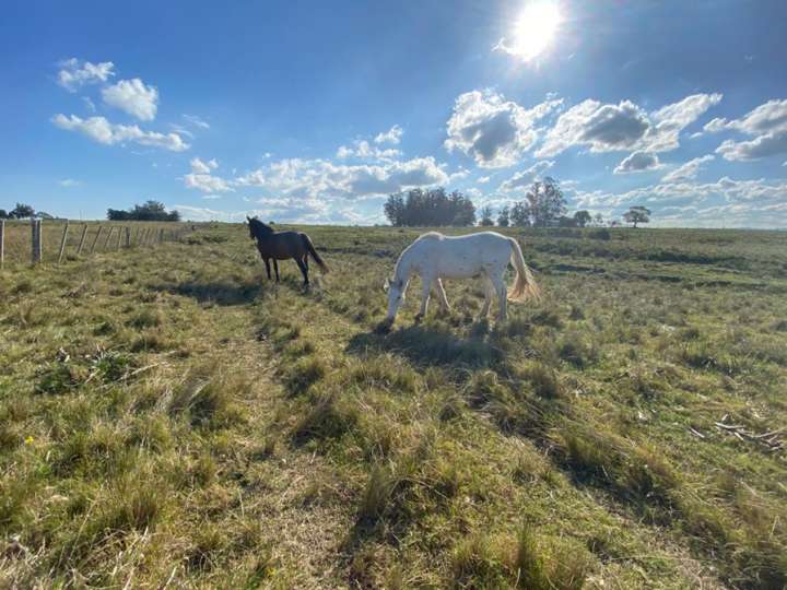 Granja en venta en Maldonado