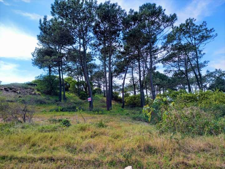 Terreno en venta en Avenida Miguel Ángel, San Rafael - El Placer