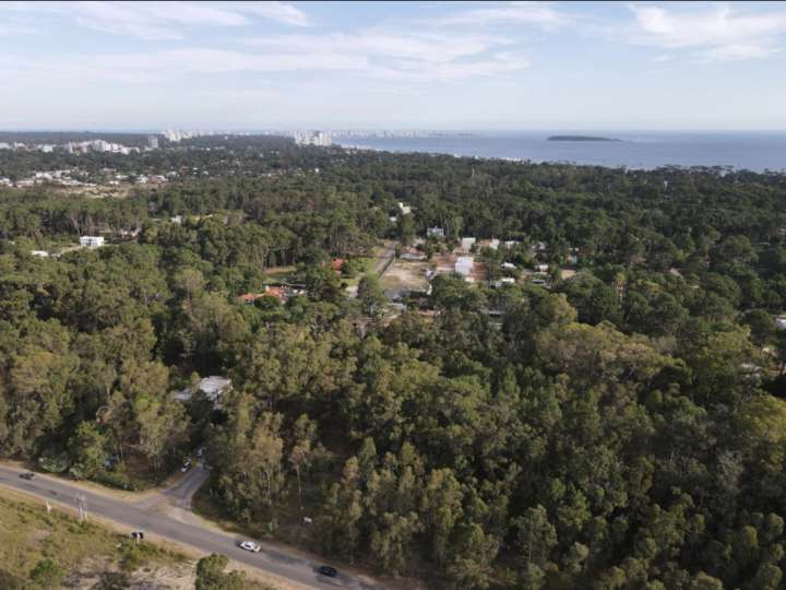 Terreno en venta en Rambla General Artigas, Punta Del Este