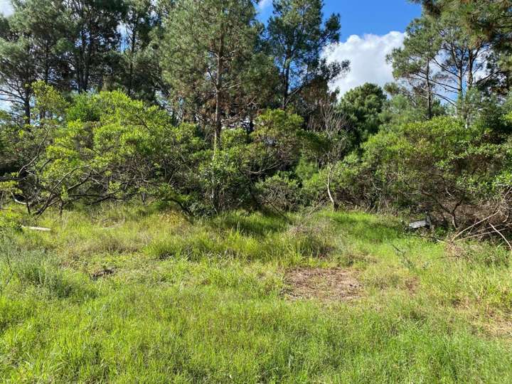 Terreno en venta en Maldonado