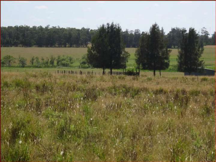 Granja en venta en El Tesoro