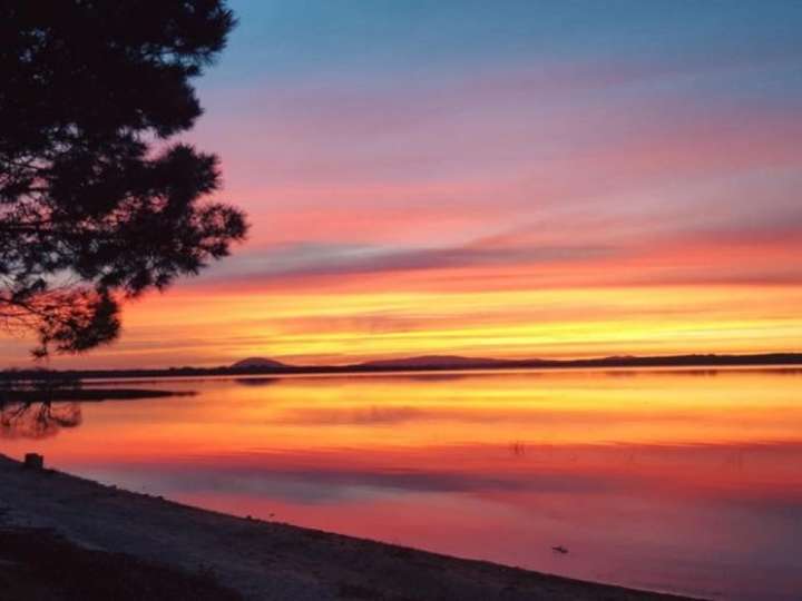 Terreno en venta en Punta Ballena