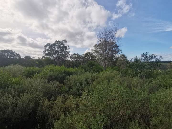 Terreno en venta en Maldonado