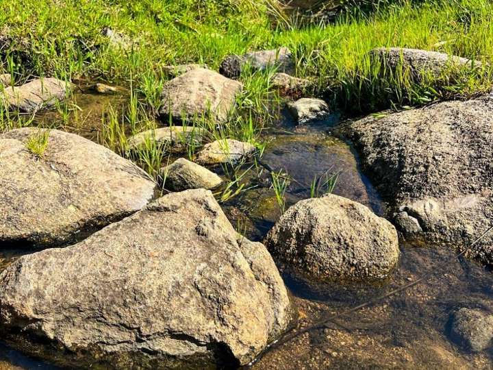 Granja en venta en Maldonado