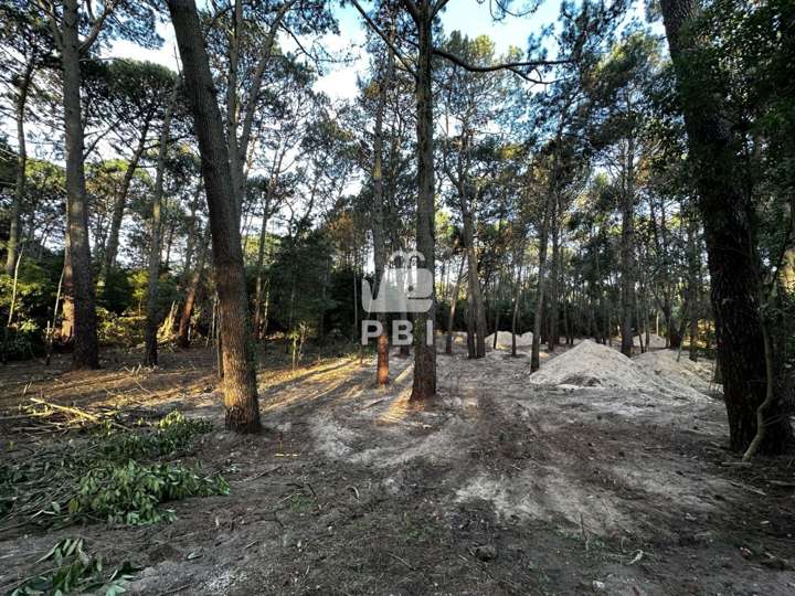 Terreno en venta en La Casuarina, Maldonado